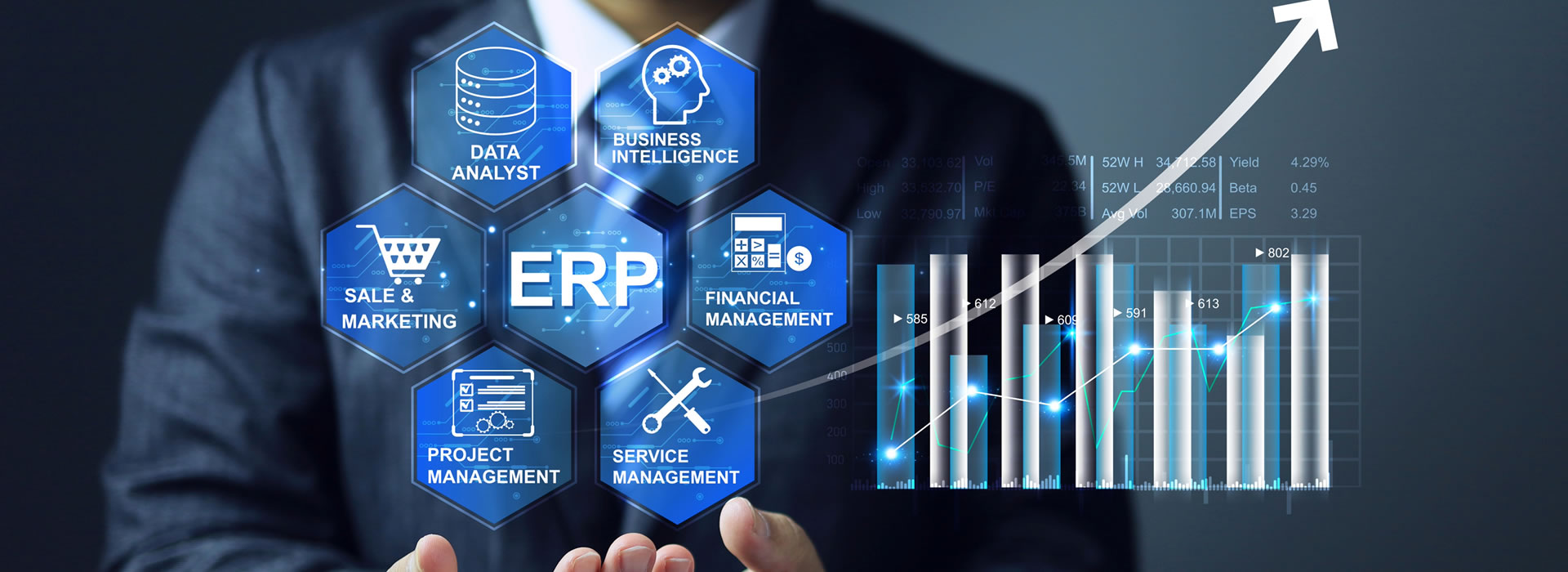 Mega ERP Financial